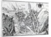 View of the Town of Liege, after a 16th century engraving by French School