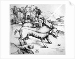Monstrous Pig by Albrecht Dürer or Duerer