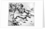 Monstrous Pig by Albrecht Dürer or Duerer