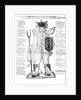 The English Irish Soldier, with his New Discipline, New Arms, Old Stomach, and New Taken Pillage: Who had Rather Eat than Fight, satirical broadsheet, pub. 1642 by English School