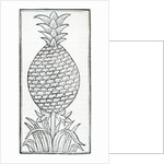 Illustration from 'De la natural hystoria de las Indias' by French School