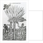 Harvest by French School