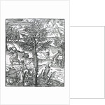 Collecting incense from Pine trees by French School