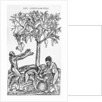 Collecting nuts for wine making by French School