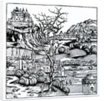 View of Portugal from the 'Nuremberg Chronicle' 1493 by German School