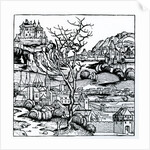 View of Portugal from the 'Nuremberg Chronicle' 1493 by German School