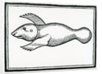 A Fish called 'Manati' by Christopher Columbus