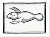 A Fish called 'Manati' by Christopher Columbus