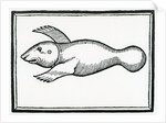 A Fish called 'Manati' by Christopher Columbus