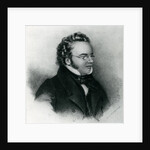 Portrait of Franz Schubert by Anonymous Anonymous