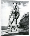 A Young Noukahiwan man not completely Tattooed, 1813 by Wilhelm Gottlieb Tilesius von Tilenau
