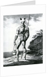 A Young Noukahiwan man not completely Tattooed, 1813 by Wilhelm Gottlieb Tilesius von Tilenau