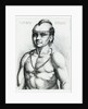 Virginian Indian, 1645 by Wenceslaus Hollar