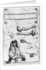 Arm, Head Tefillin and Torah boxes by English School