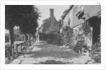 The Walks, Groombridge by English Photographer