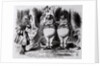 Tweedledum and Tweedledee by John Tenniel