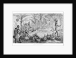 Waganda brewing Pombe by John Hanning Speke