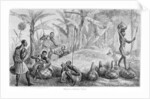 Waganda brewing Pombe by John Hanning Speke