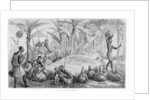 Waganda brewing Pombe by John Hanning Speke