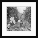 Mid-day halt on the march by English Photographer