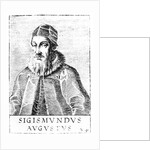 Sigismund II Augustus by Anonymous