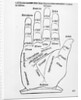 Palmistry by English School