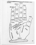 Palmistry by English School