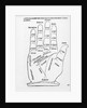 Palmistry by English School