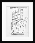 Palmistry by English School