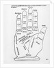 Palmistry by English School