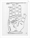 Palmistry by English School
