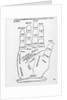 Palmistry by English School