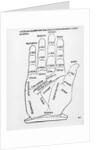Palmistry by English School