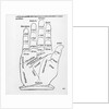 Palmistry by English School