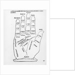 Palmistry by English School