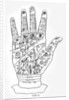 Palmistry by English School