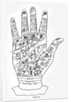 Palmistry by English School