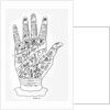 Palmistry by English School