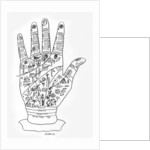 Palmistry by English School