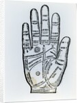 Palmistry by English School