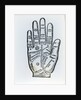 Palmistry by English School