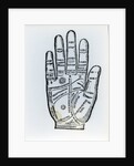 Palmistry by English School