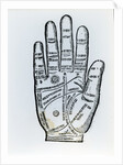 Palmistry by English School