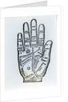 Palmistry by English School