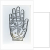Palmistry by English School