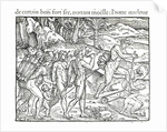 Indian Natives Making Fire After Hunting by Jacques (d.1587/88) (after) Le Moyne