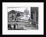 The Tobacco Manufactory in Different Branches, engraved for the Universal Magazine, 1750 by English School