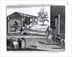 The Tobacco Manufactory in Different Branches, engraved for the Universal Magazine, 1750 by English School