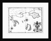 Map No.6 showing the route of the Armada fleet by Robert (after) Adams