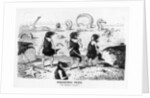 Prehistoric Peeps, 'No Bathing Today', 1884 by Edward Tennyson Reed